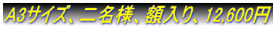 A3�T�C�Y�A�񖼗l�A�z����A12,600�~
